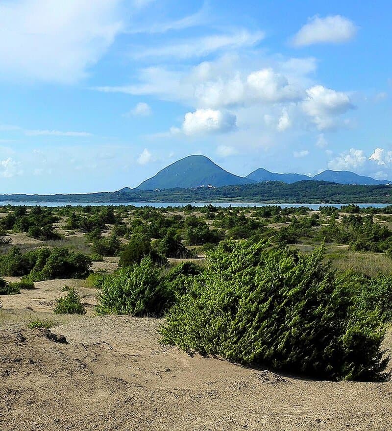 Issos Beach